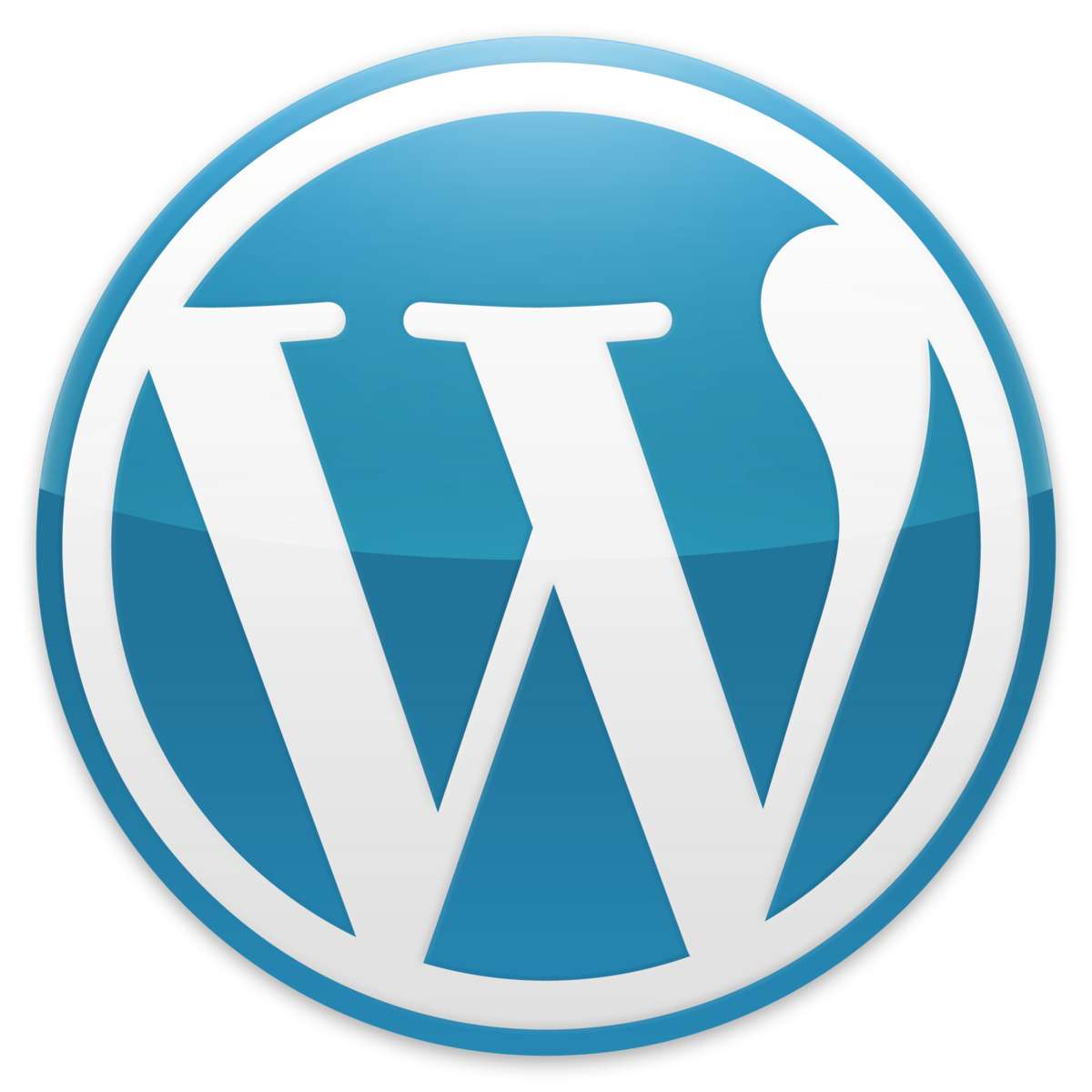 WordPress para desarrollo de ecommerce